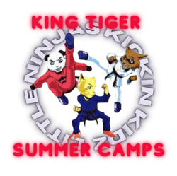 Virginia Beach summer camps
