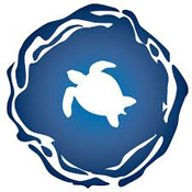 Virginia Beach summer camps